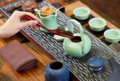官方點名炒茶，天價茶屢見不鮮，上萬元一斤的茶真不是智商稅？
